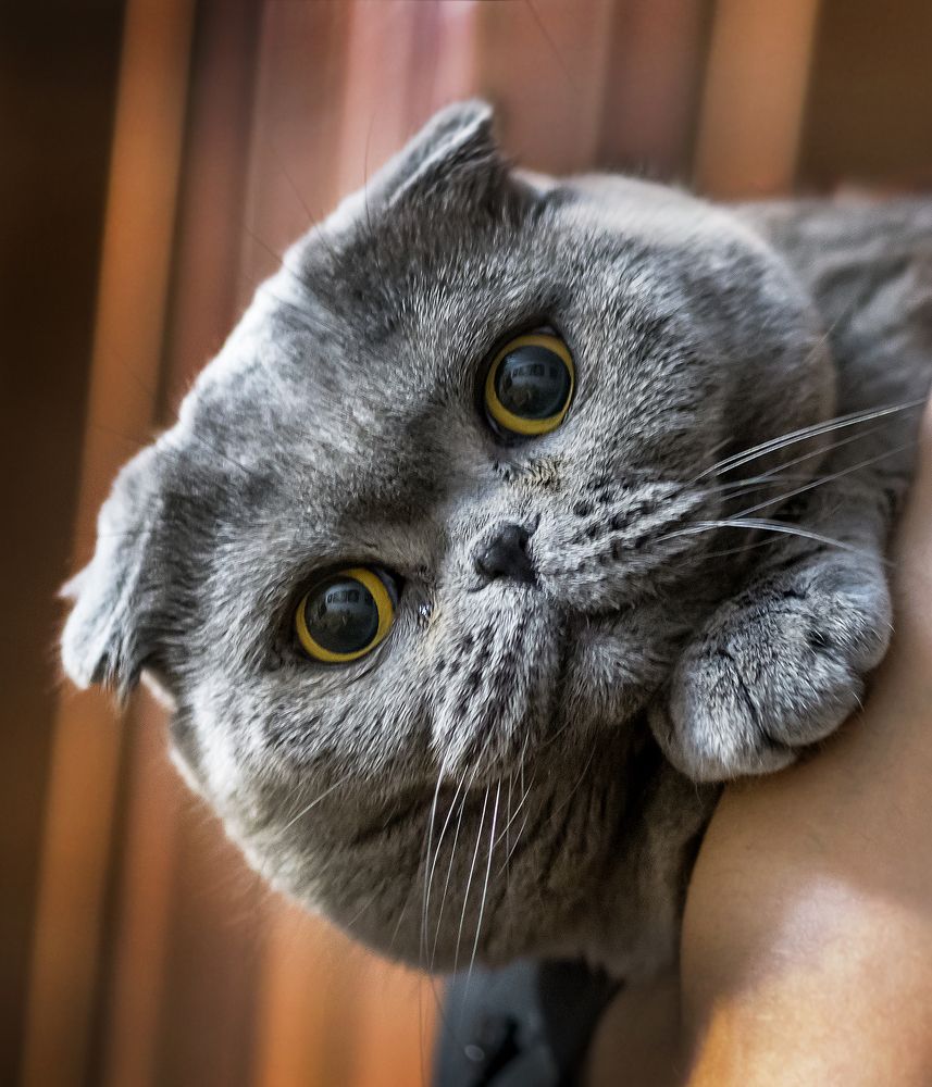 Photograph by Valery Pegushev