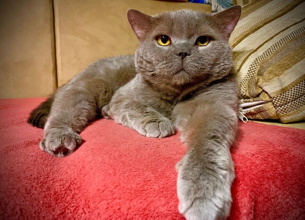 Photograph by Михаил Трусов