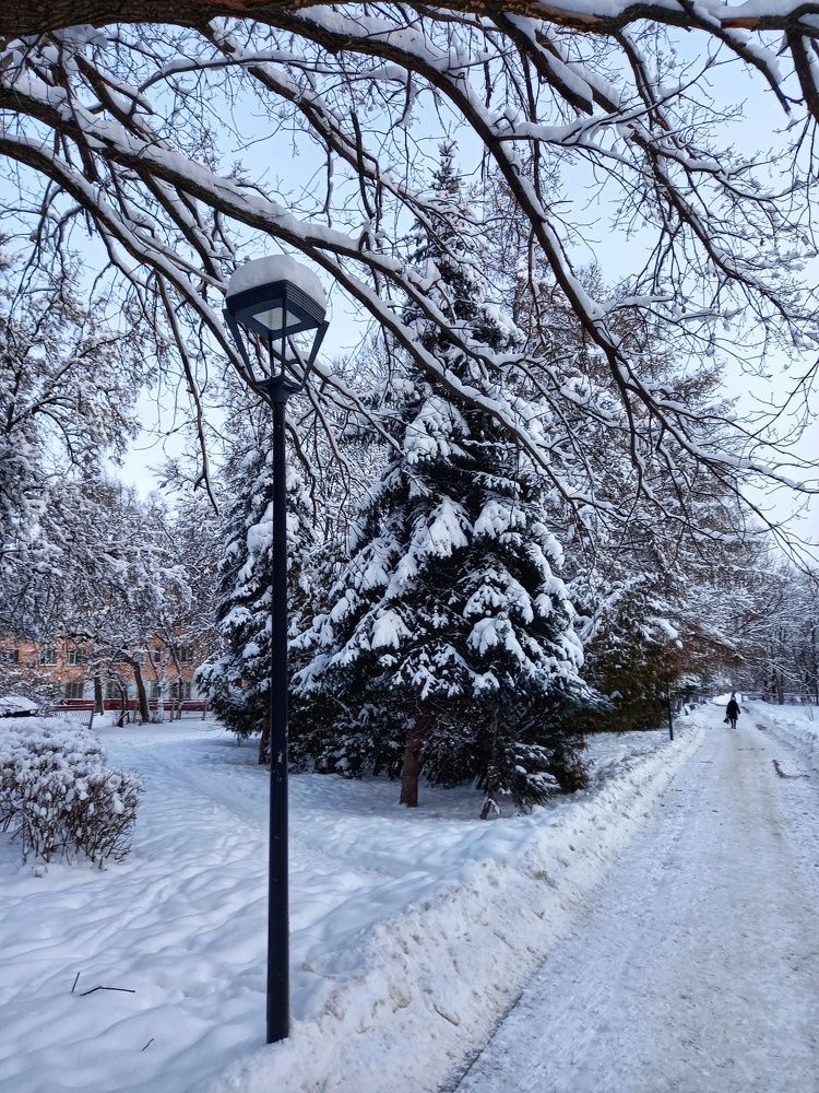 Дорога домой