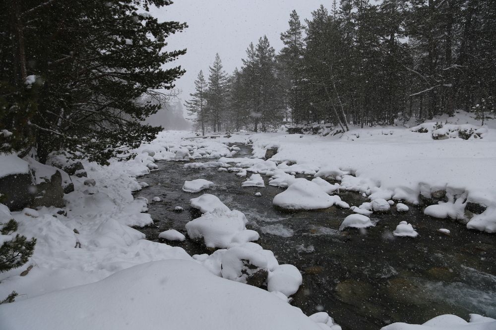 Photograph by Дарья Григорьева