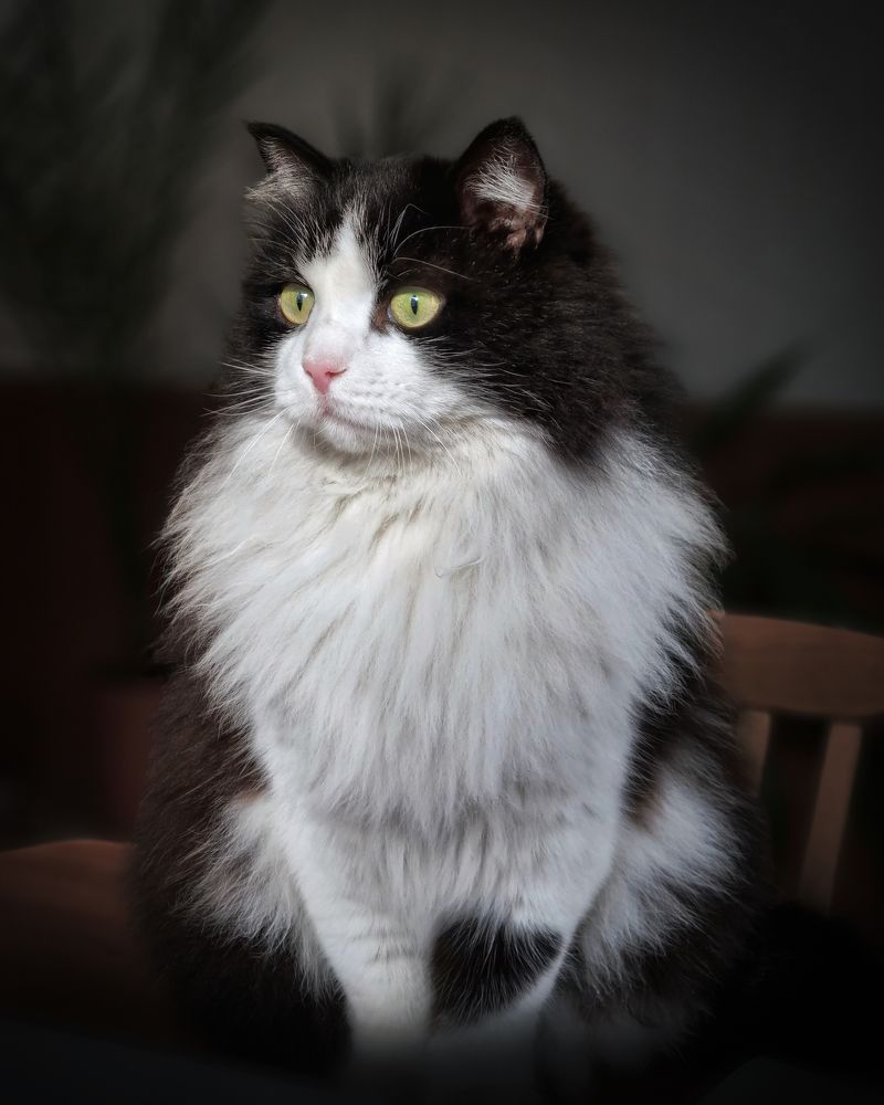 Photograph by Сергей Аксёнов