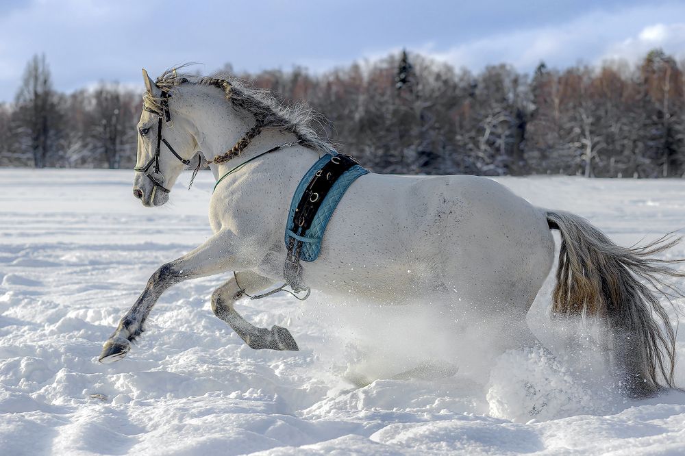 Photograph by александр лялин
