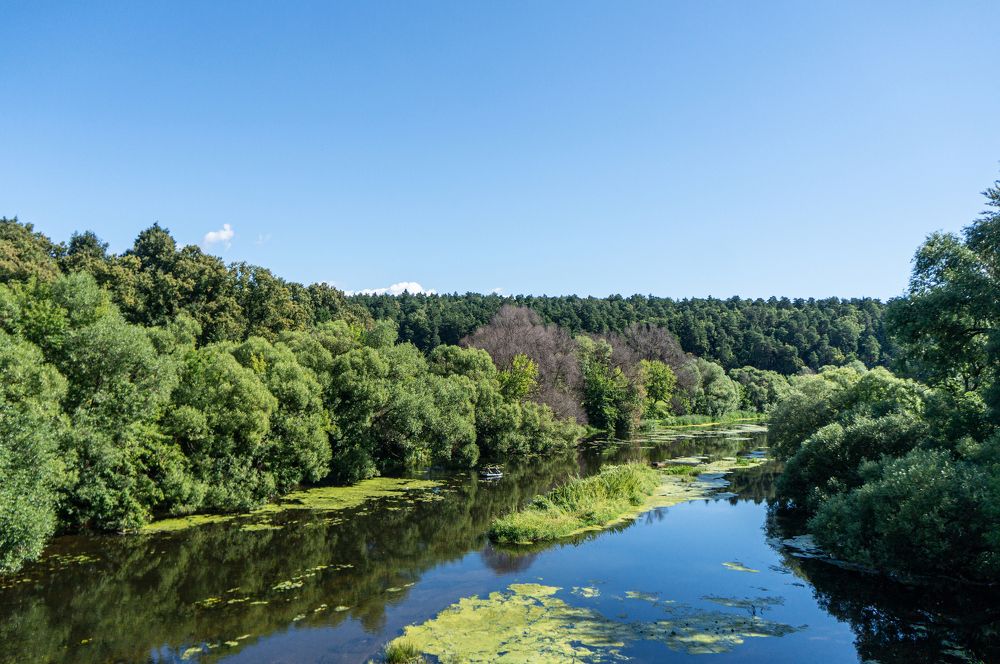 Photograph by Роман Шаров