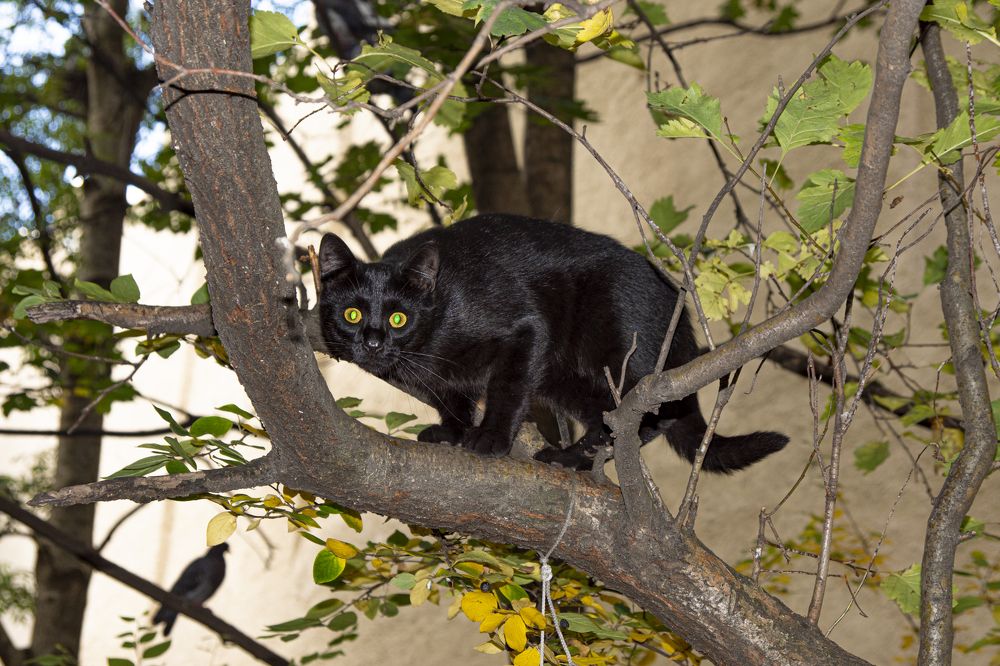 Photograph by Анна Васильева