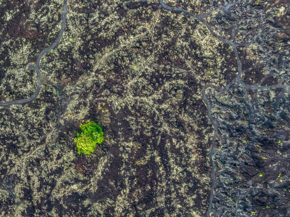 Taking over control again