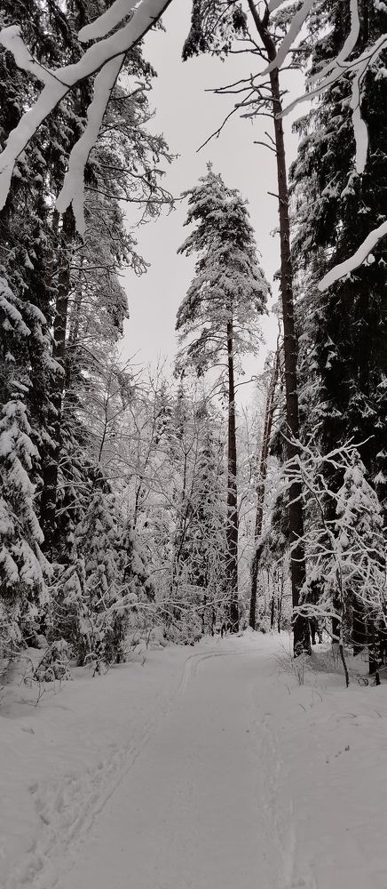 Фотография автора Елена Малкова