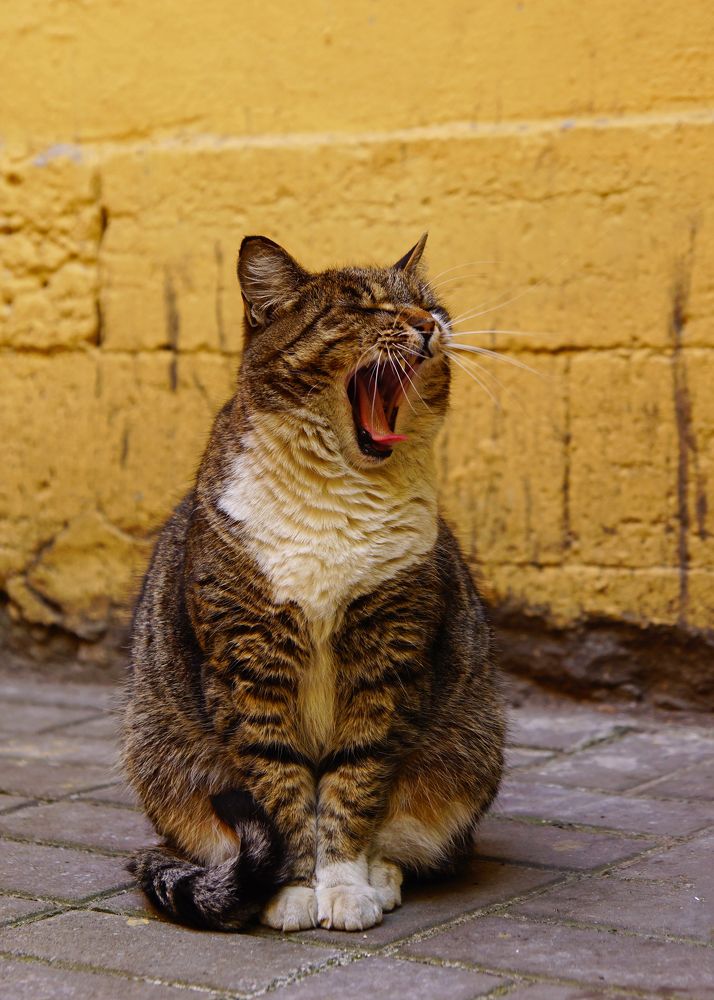 Photograph by Анна Васильева