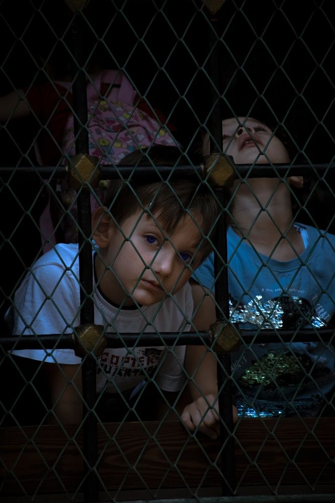 Photograph by Mohammad hassan