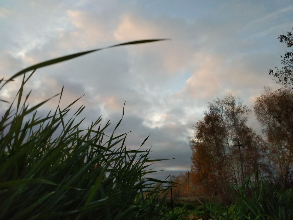 Photo #8729928