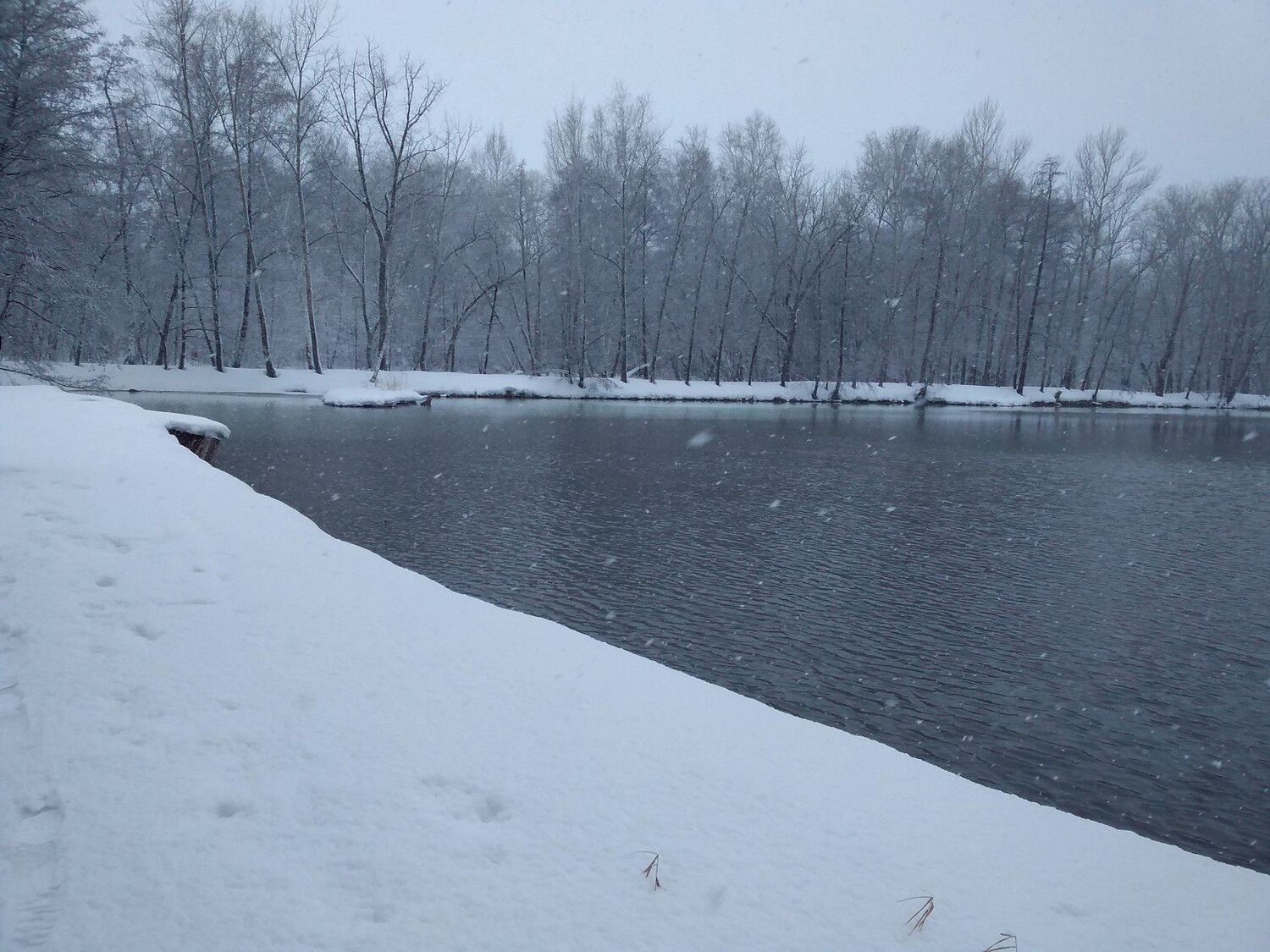 Photo #8729934