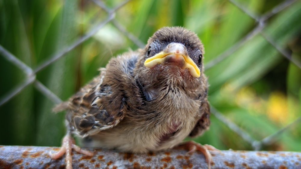 Photograph by Дмитрий Леонтенко