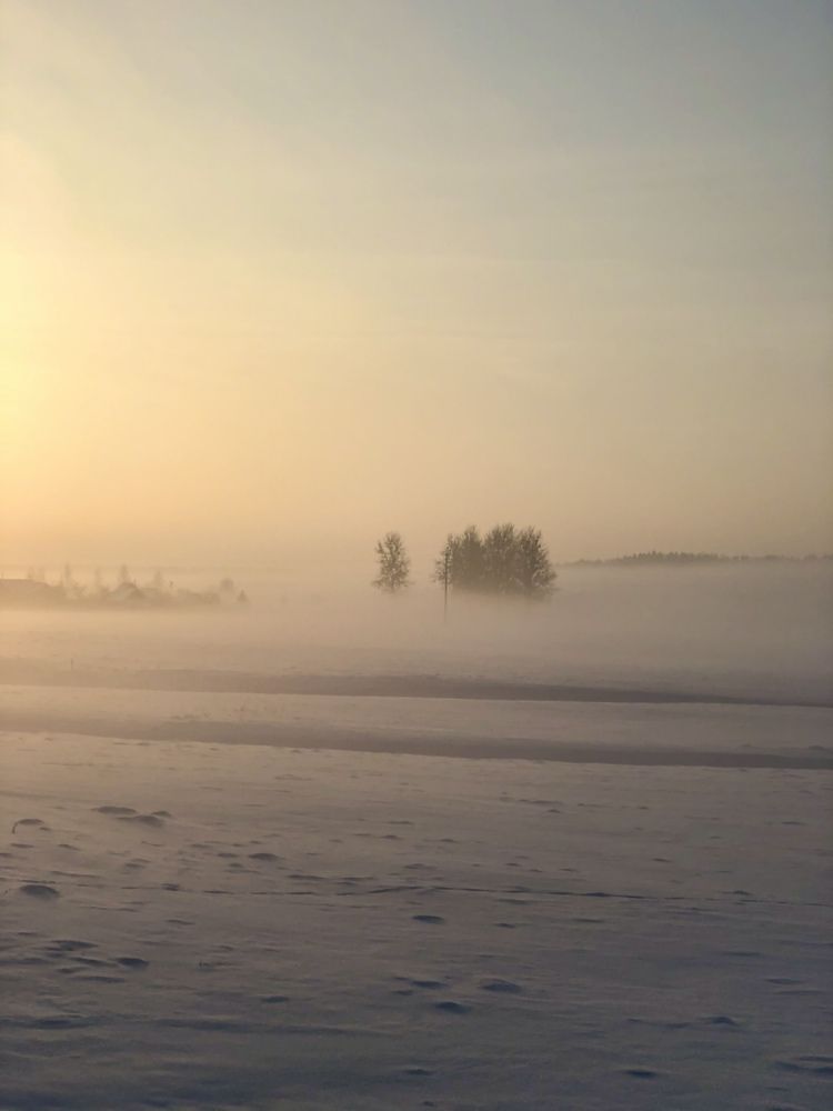 Photograph by Лариса Акинчиц