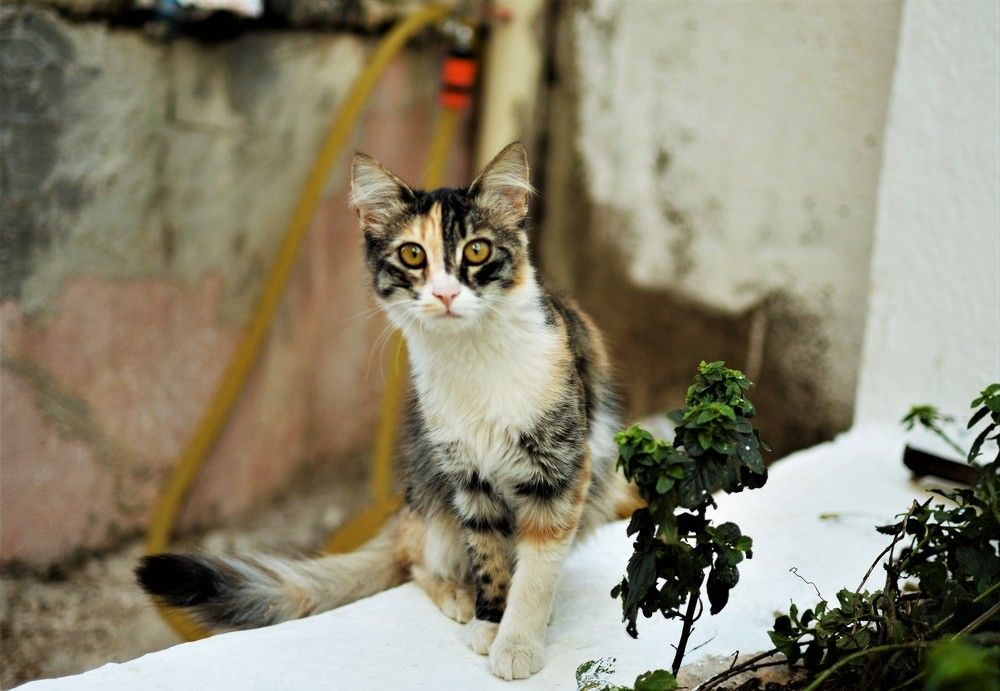 Photograph by Ольга Садохова