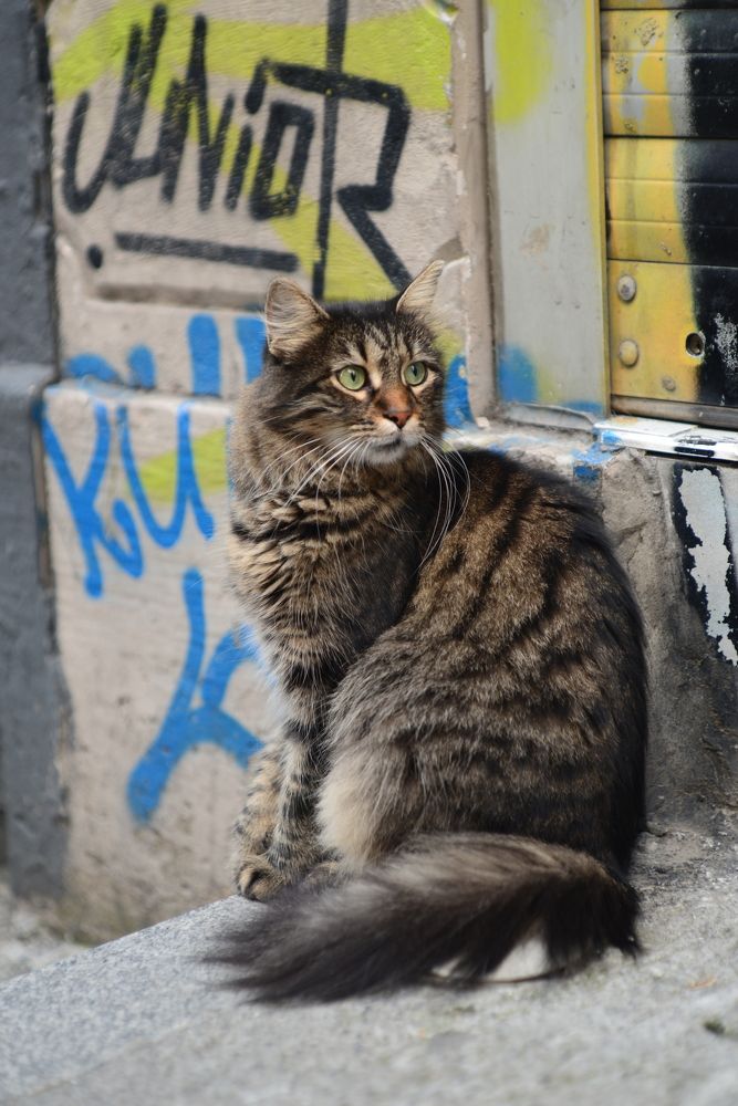 Photograph by Ольга Садохова