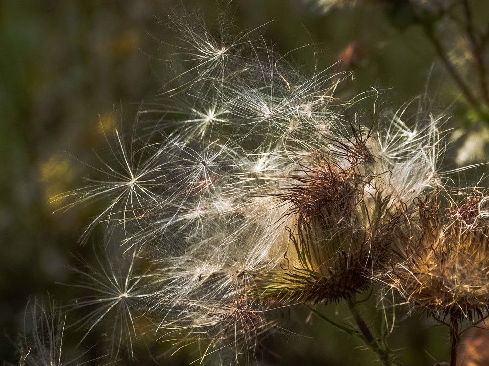 Photograph by mikhail goryachev