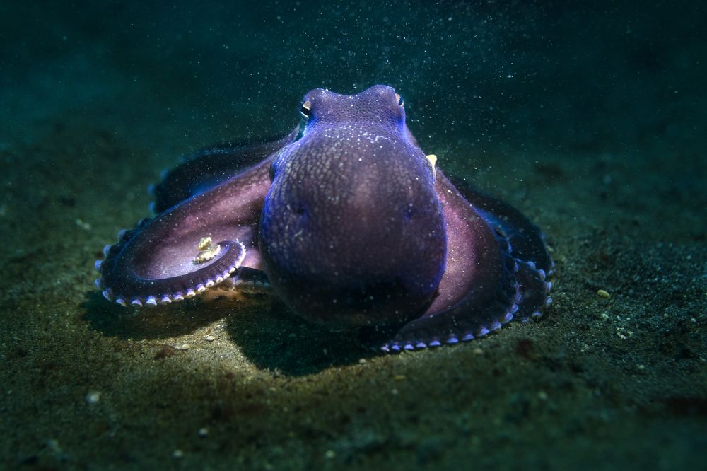 Photograph by Дериглазова Марина Владимировна
