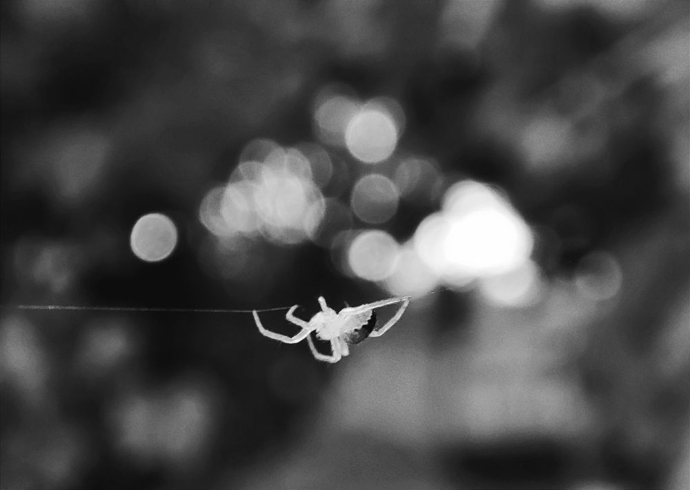 Photograph by Екатерина