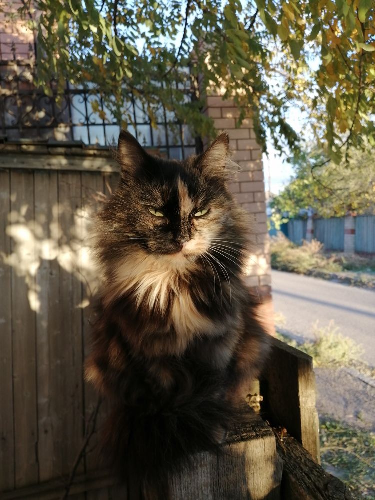 Photograph by Амуланга Захарова