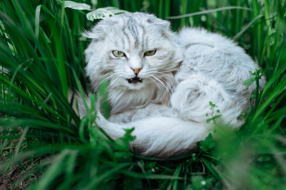 Photograph by Юлия Петренко