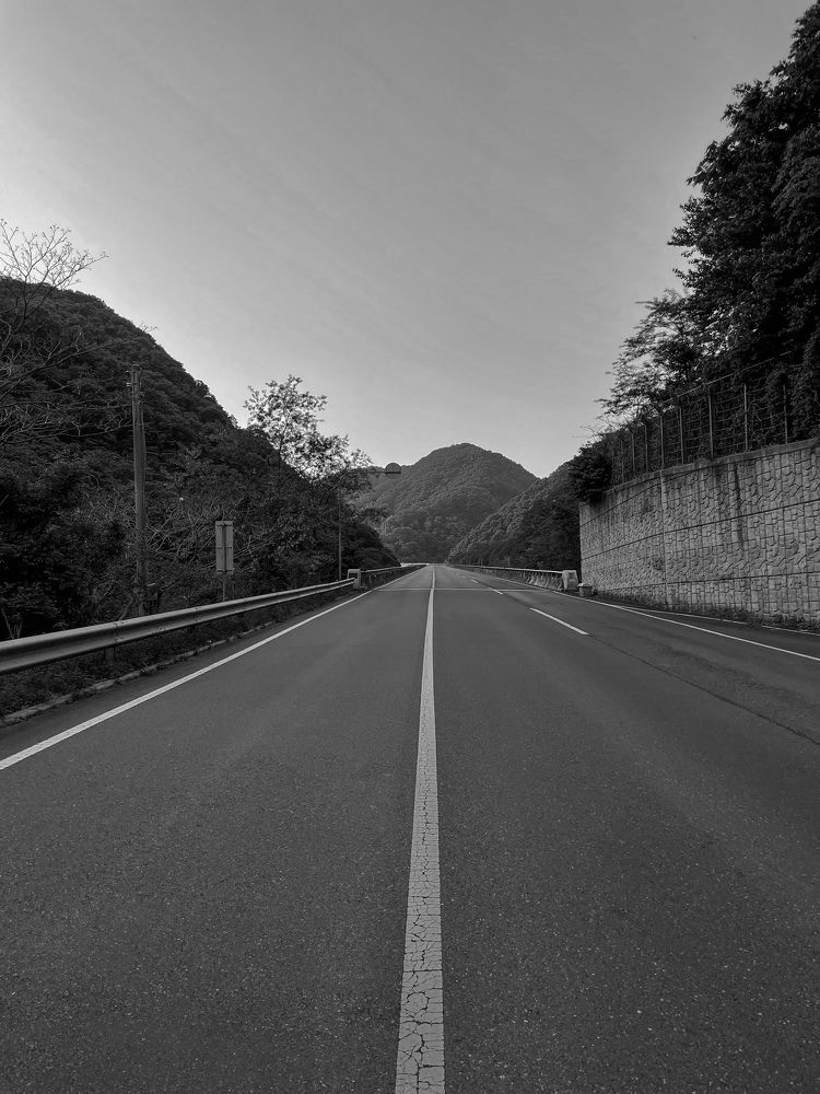 Photograph by Светлана