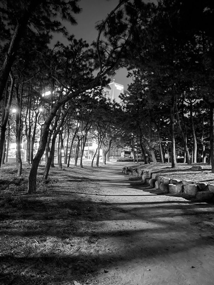 Photograph by Светлана