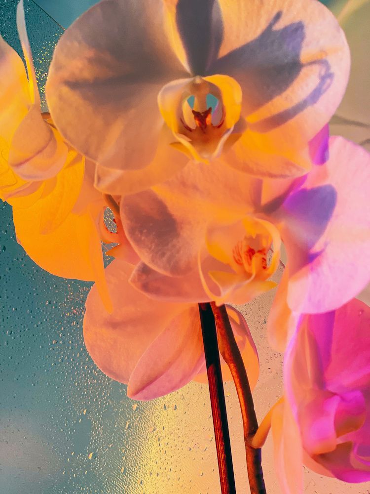 Фотография автора Евгения Сычкова