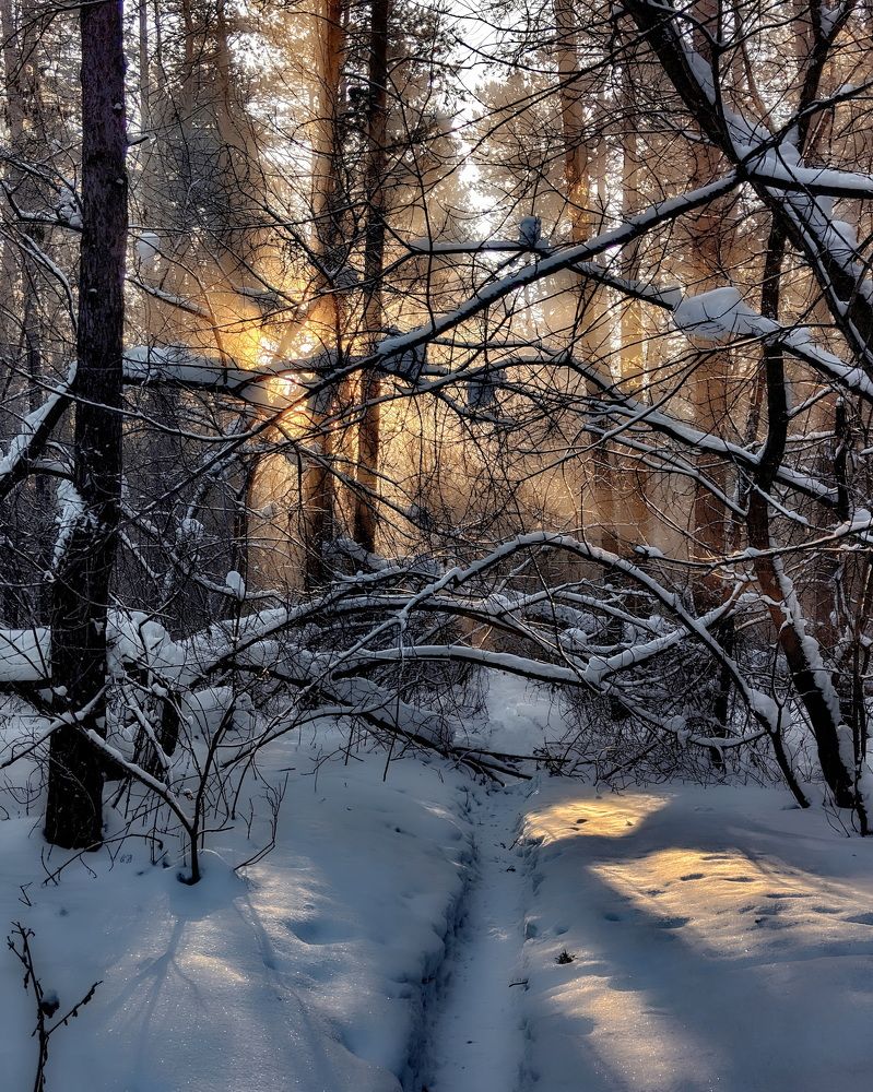 Photograph by Дмитрий Кузнецов