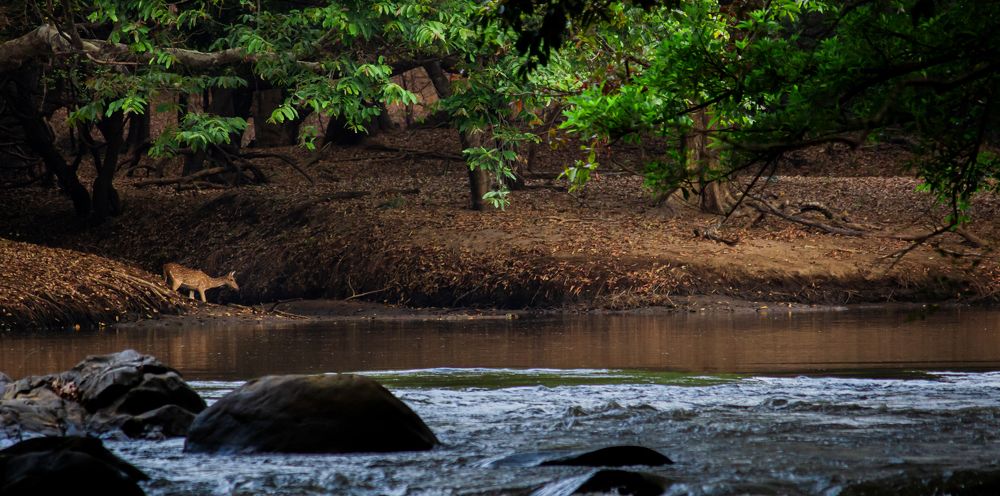 Photograph by Harish Raghavan