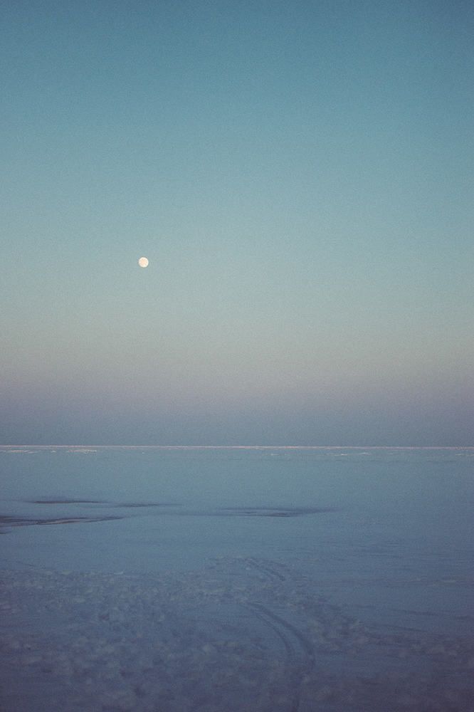 Photograph by Anna Petrov