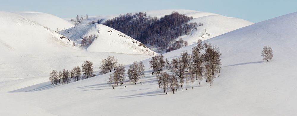 Photograph by Андрей Черкасов