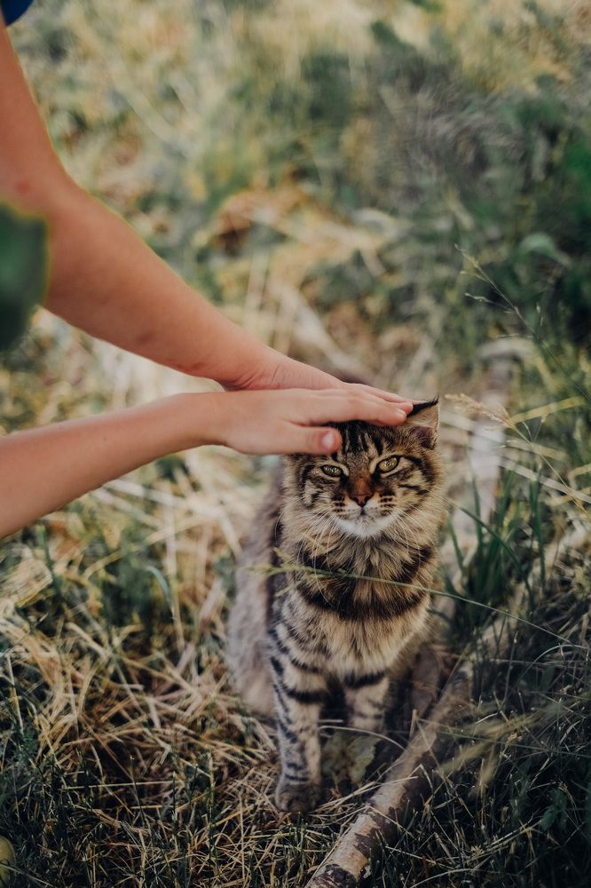 Photograph by Tyshkanchik