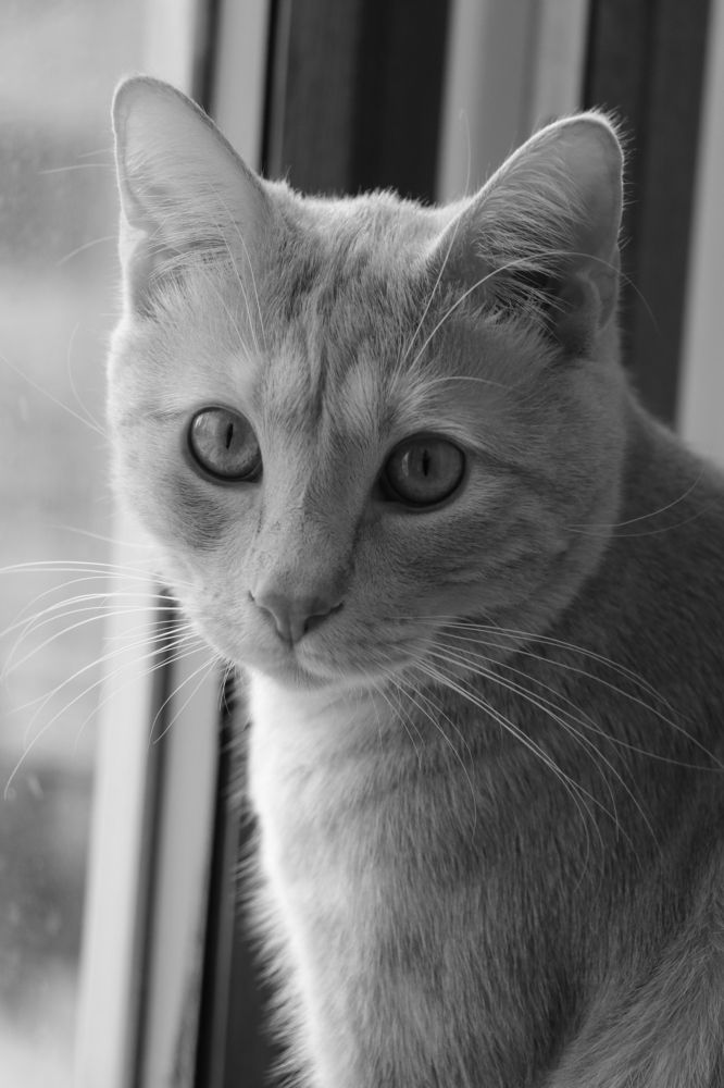 Photograph by Дарья Дрыночкина