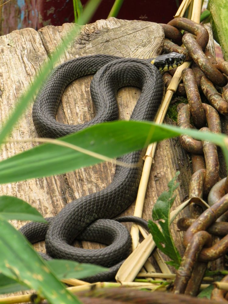 Photograph by Анастасия Романова