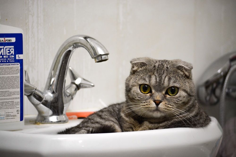 Photograph by Андрей Смирнов