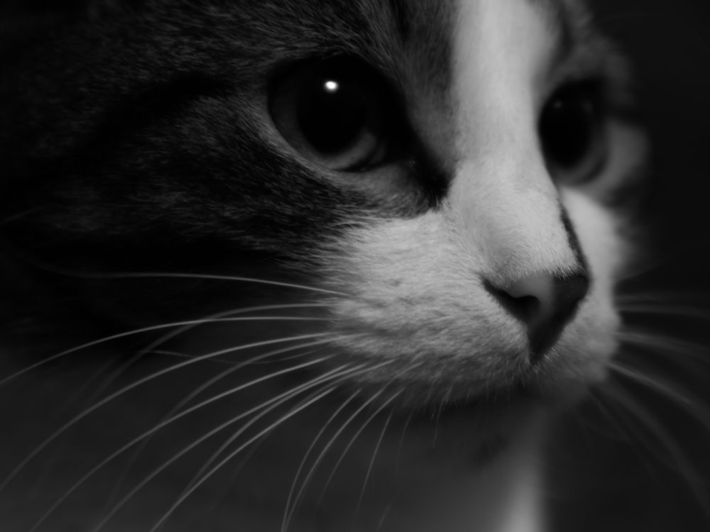 Photograph by Виталий Жгущий