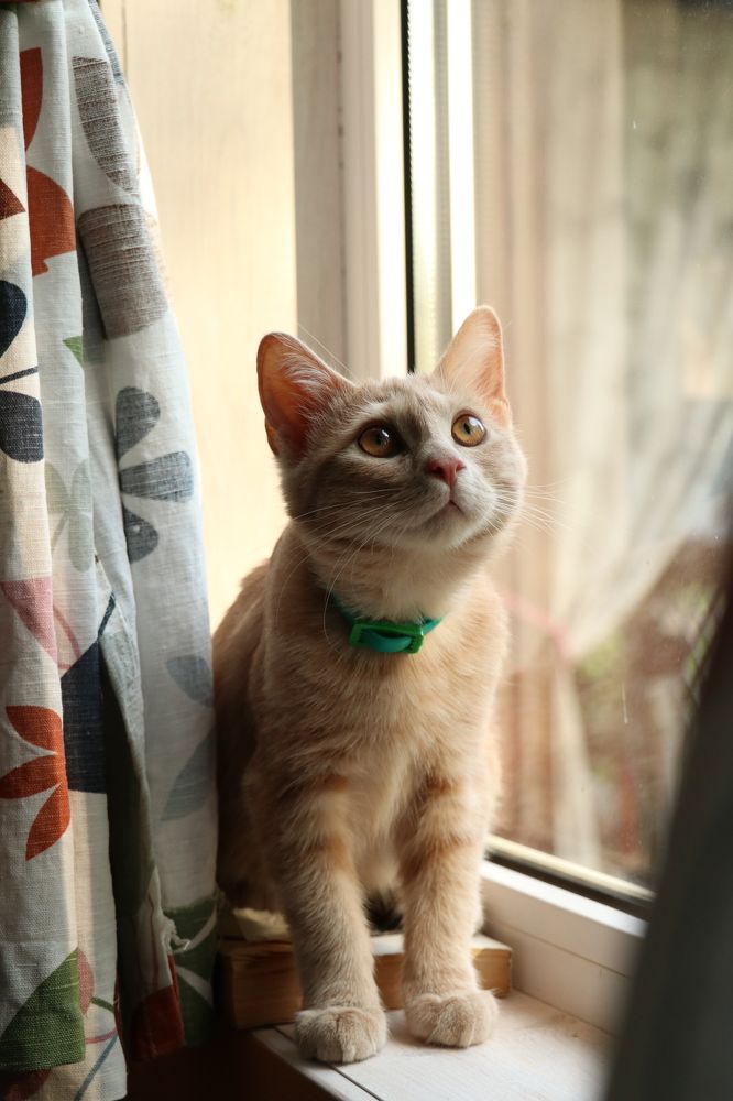 Photograph by Дарья Дрыночкина