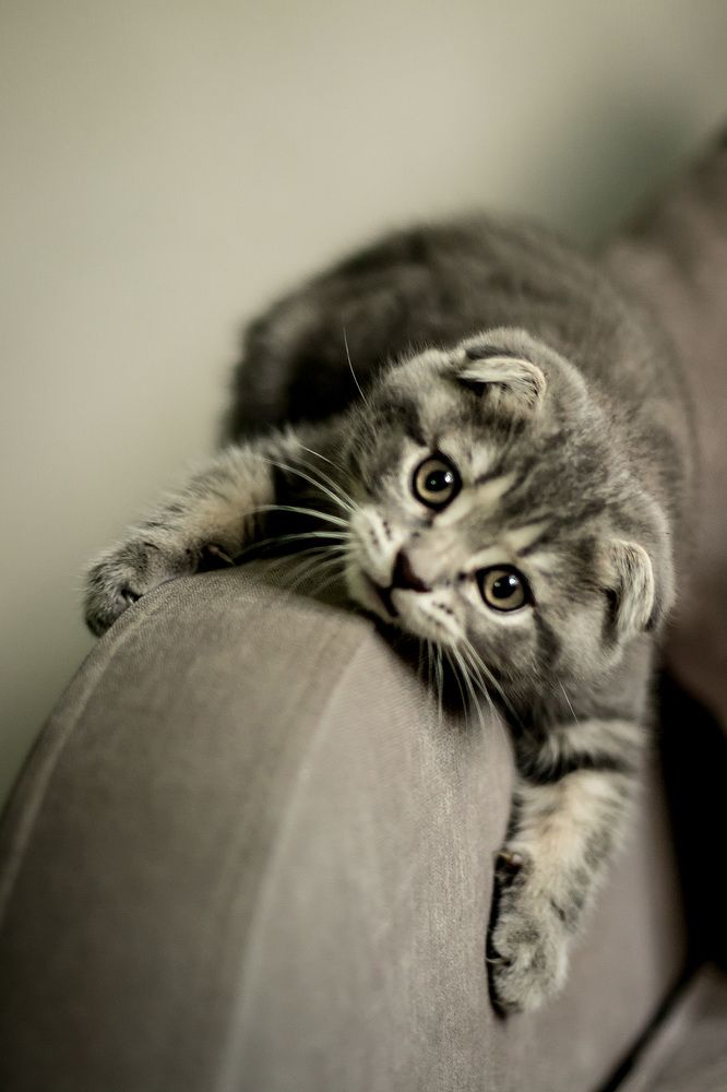 Photograph by Елена Илюхина