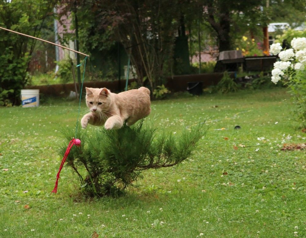 Photograph by Дарья Дрыночкина