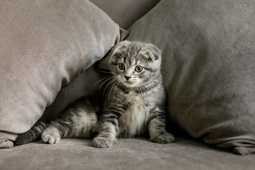 Photograph by Елена Илюхина