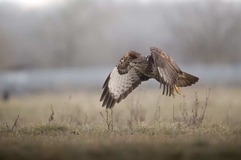 Photograph by Dejan Zakic