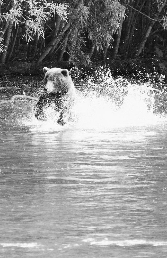 Photograph by Владимир Титов