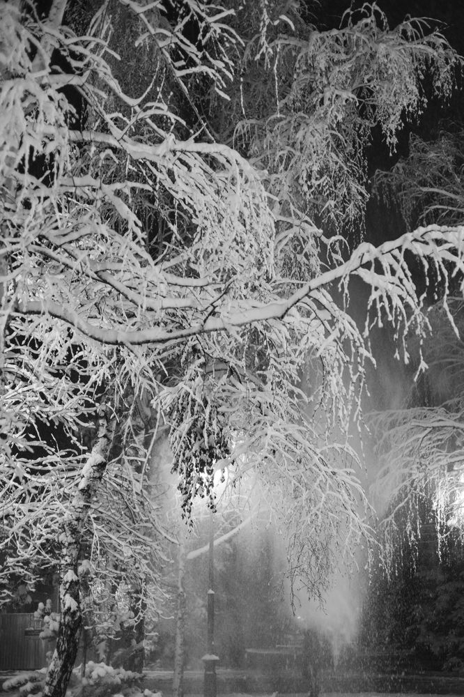 Photograph by Олеся Грекова