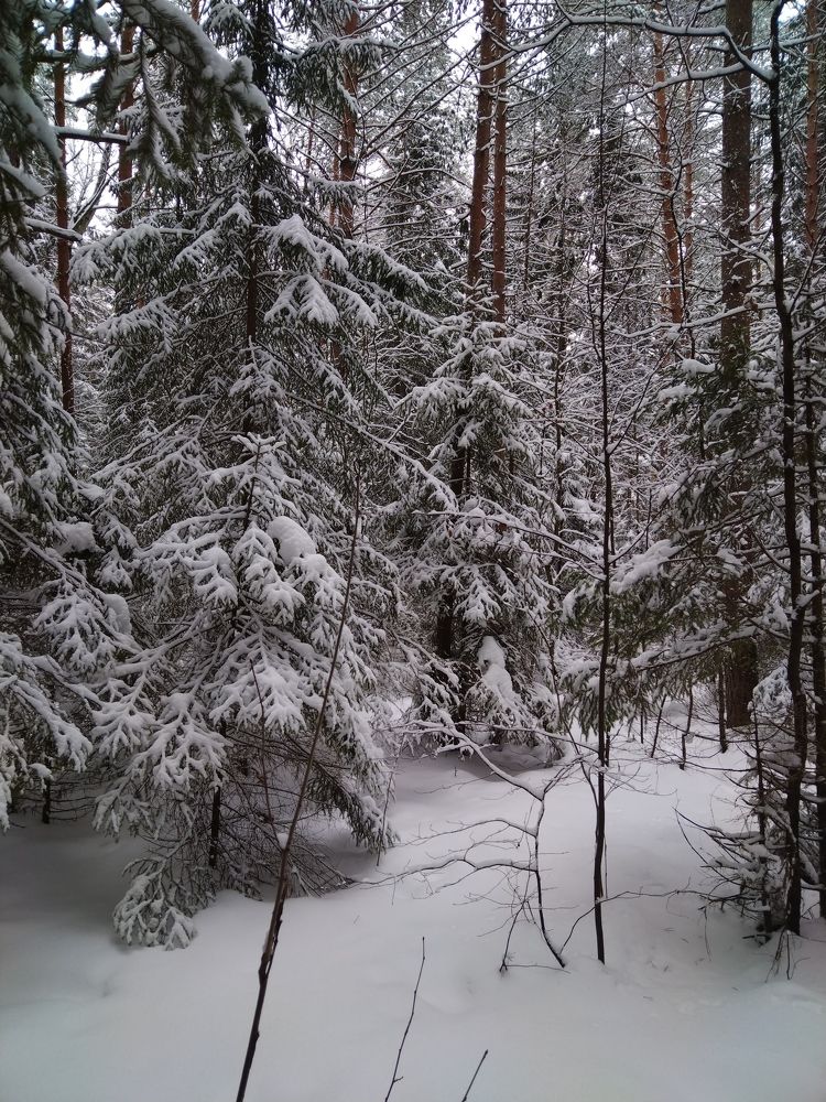 Photo #8730370