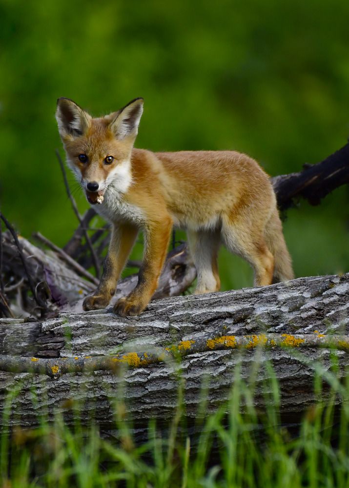 Photograph by Елена