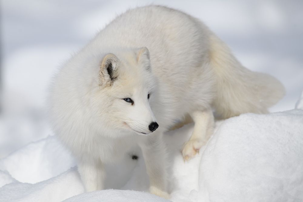 Photograph by Nathalie Talbot