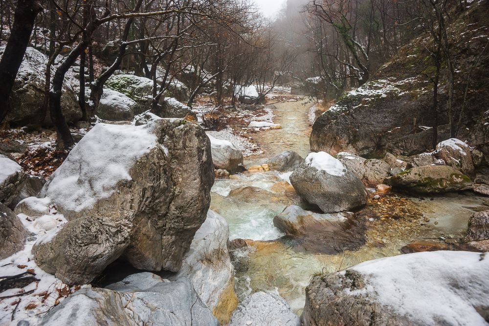 Photograph by Максимова Дария