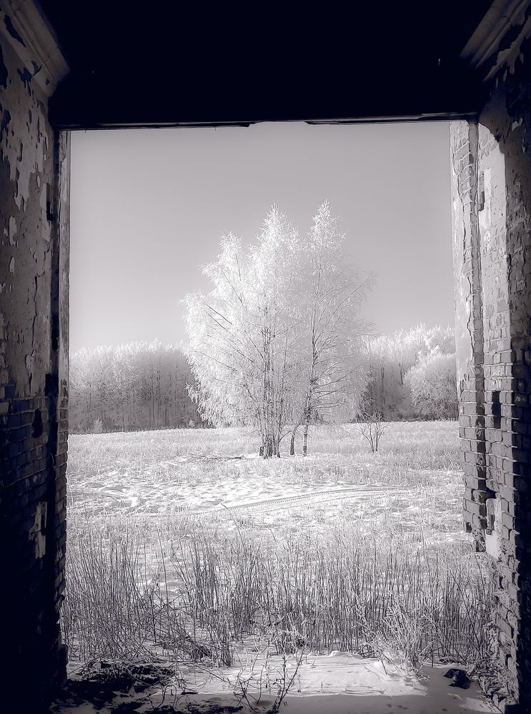 Фотография автора Михаил