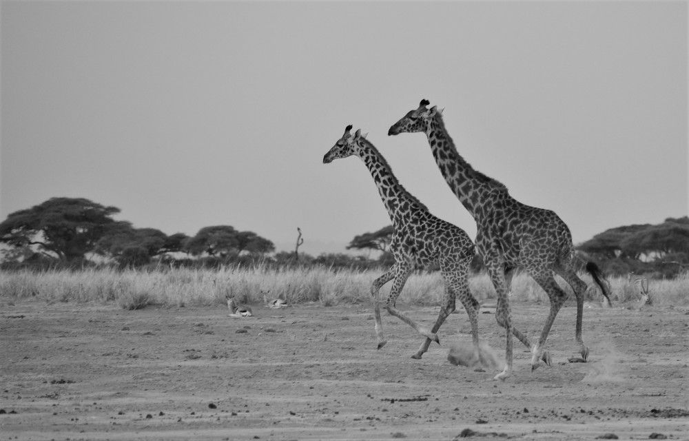 Photograph by Ольга Садохова