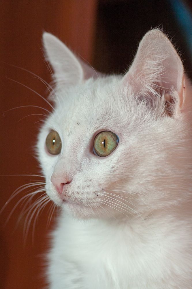 Photograph by Максим Миронов