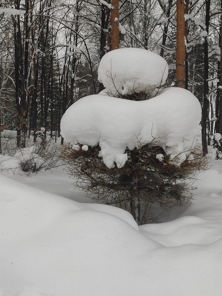 Photograph by Татьяна Гулакова